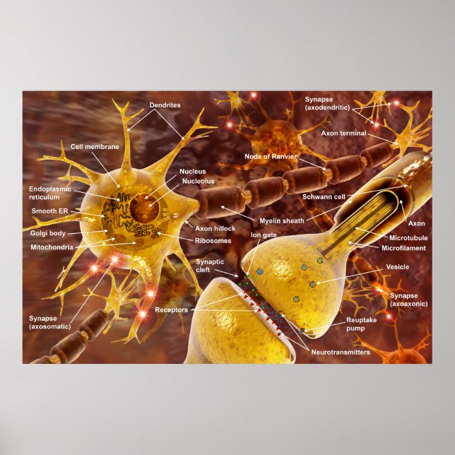 Póster Neuron (Frente)