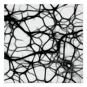 Póster Neuronas