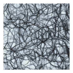 Póster Neuronas