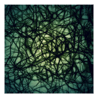 Neuronas