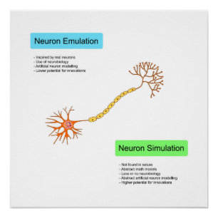 Póster Neuronas