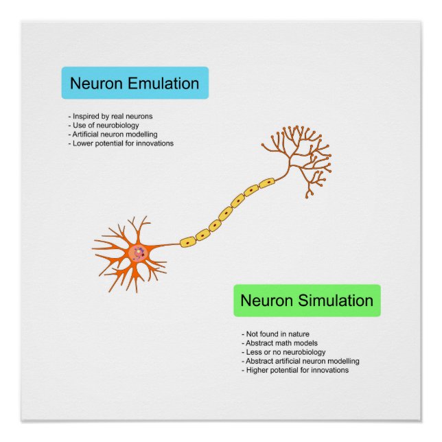 Póster Neuronas (Anverso)