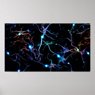 Póster Neurons