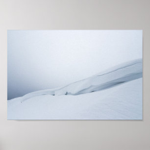 Póster Nevada