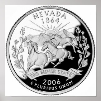 Póster Nevada