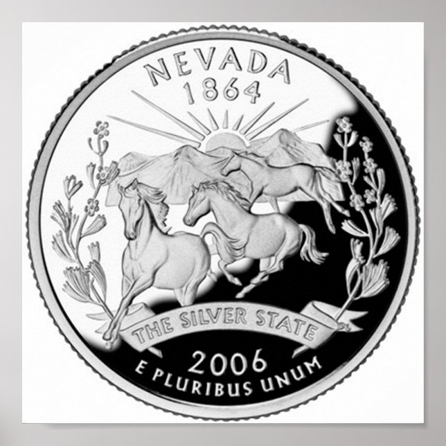 Póster Nevada (Frente)