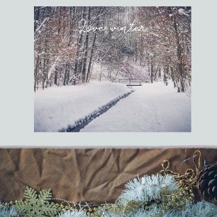 Póster Nevada al tiro del parque