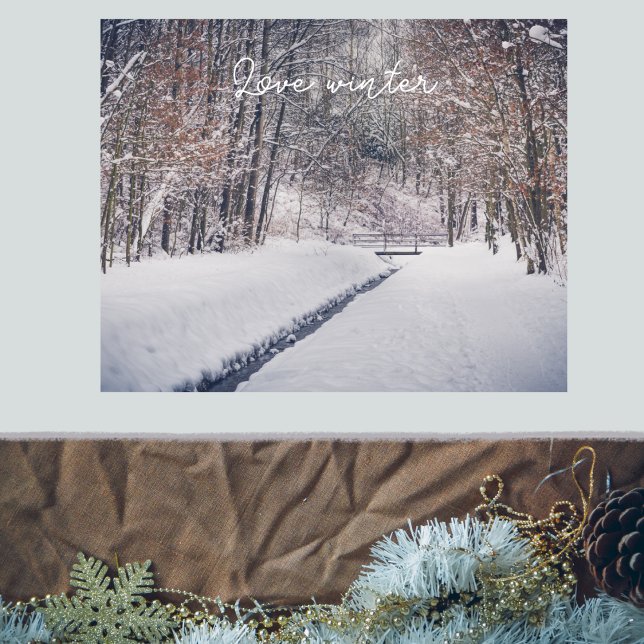 Póster Nevada al tiro del parque (Subido por el creador)