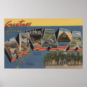 Póster Nevada (Capital del Estado/flor)