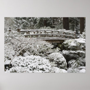 Póster Nevada en el Jardín Japonés de Portland,