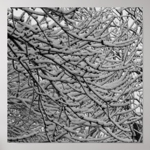 Póster Nevadas de Shreveport