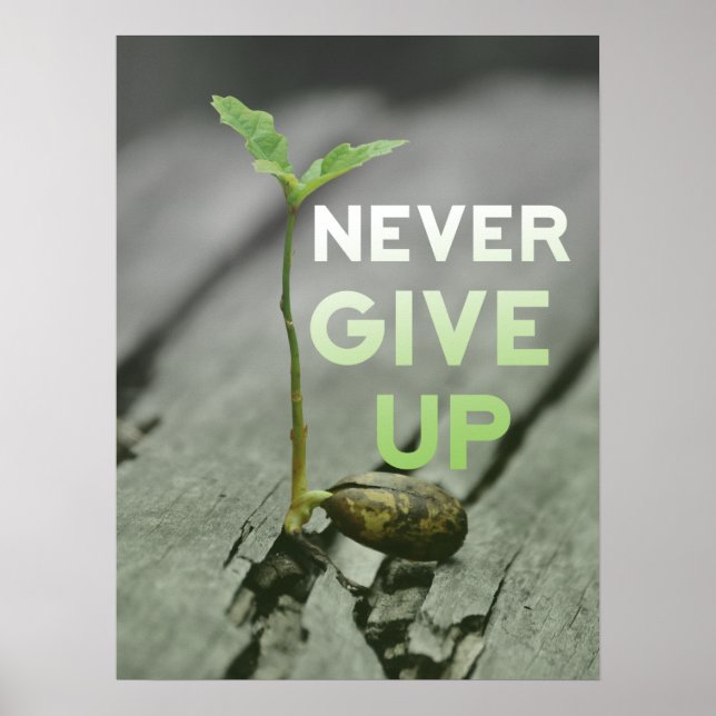 Póster Never Give up Poster (Frente)