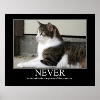 Póster Never Underestimate Cat Artwork