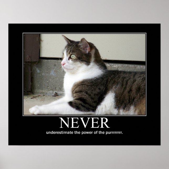 Póster Never Underestimate Cat Artwork (Frente)