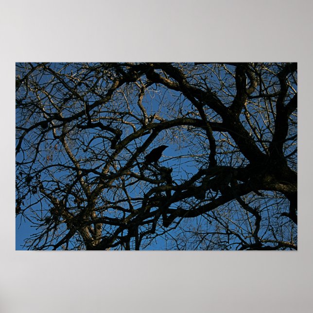 Póster Nevermore (Frente)