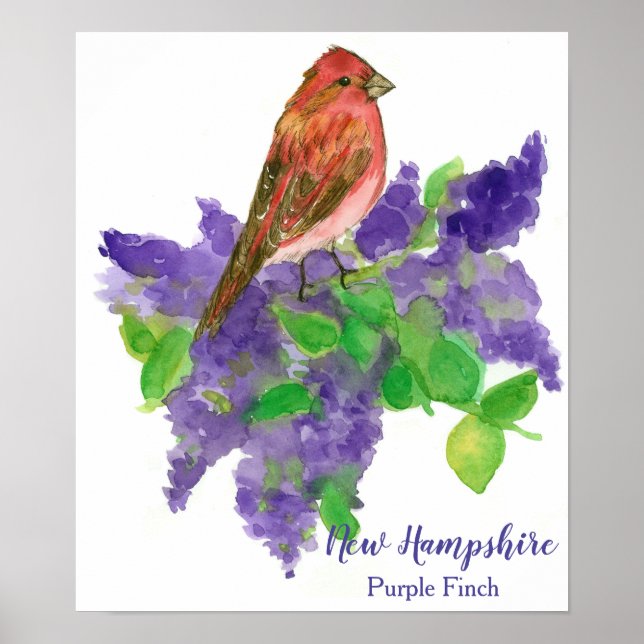 Póster New Hampshire Bird Purple Finch Lilacs (Frente)