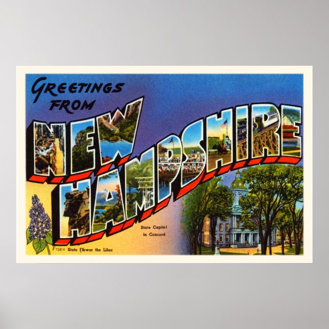 Póster New Hampshire NH Vintage Travel Souvenir (Frente)