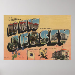 Póster New Jersey (Capital del Estado/flor/pájaro)
