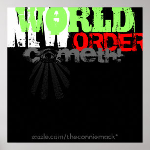 Póster New World Order Poster