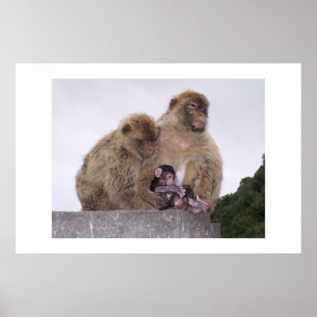 Póster Newborn (Frente)