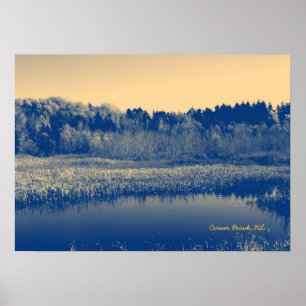 Póster Newfoundland, Canada, Marshlands Trees and Water