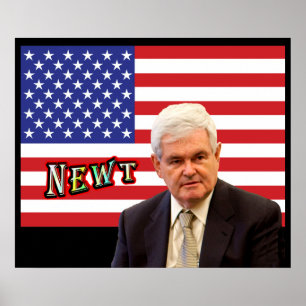 Póster NEWT - rojo, blanco, y azul