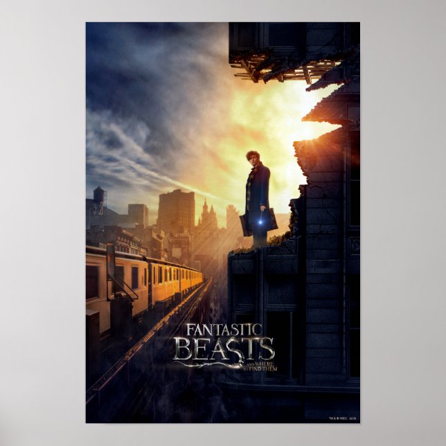 Póster NEWT SCAMANDER™ en edificio destruido (Frente)