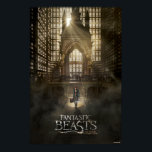 Póster NEWT SCAMANDER™ en la sede de MACUSA™<br><div class="desc">BROMAS FANTÁSTICAS Y DÓNDE ENCONTRARLAS™ | NEWT SCAMANDER™ entra en el edificio del Magical Congress of USA.</div>