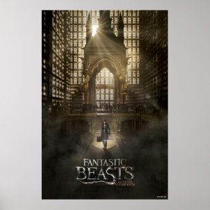 Póster NEWT SCAMANDER™ en la sede de MACUSA™