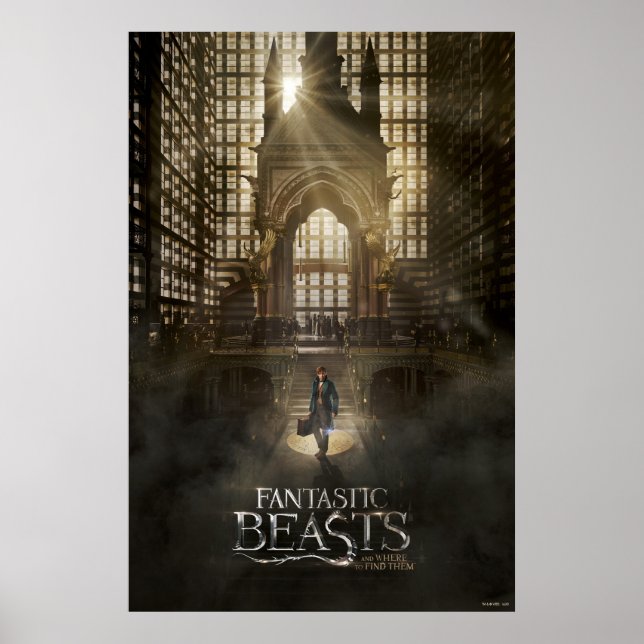 Póster NEWT SCAMANDER™ en la sede de MACUSA™ (Frente)