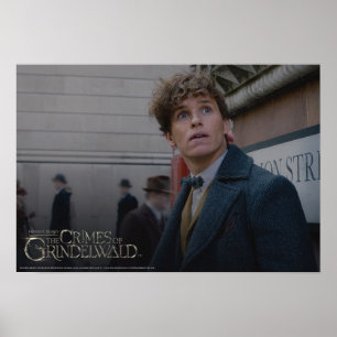 Póster NEWT SCAMANDER™ En Londres Foto