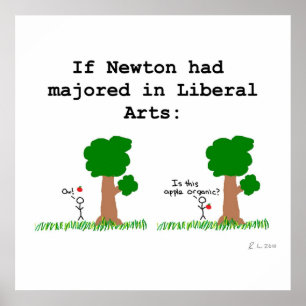 Póster Newton