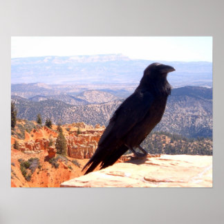 Póster NG Crow