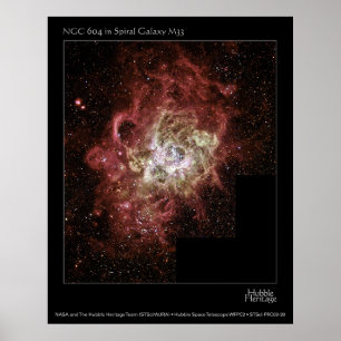 PÓSTER NGC 604