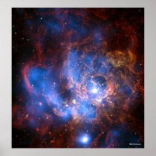 PÓSTER NGC 604