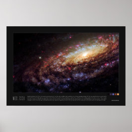 Póster NGC 7331 (Caldwell 30)