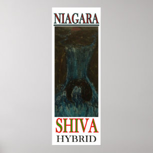 PÓSTER NIAGARA SHIVA HYBRID