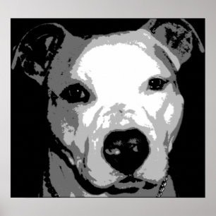 Póster Nibs the Pit Bull