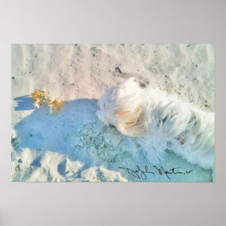 Póster Nicholas & Friend