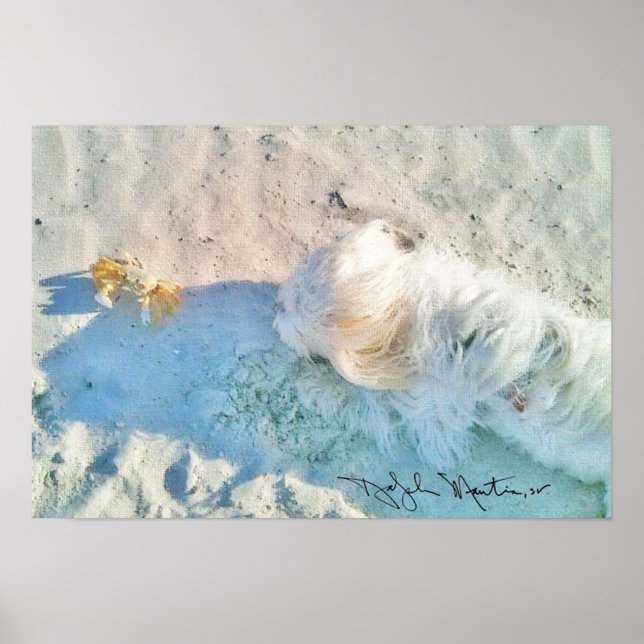 Póster Nicholas & Friend (Frente)