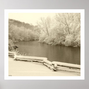 Póster Nichols Arboretum