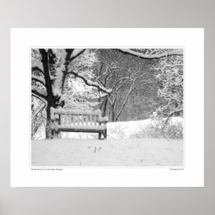 Póster Nichols Arboretum #1