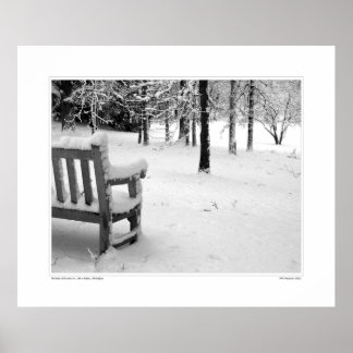 Póster Nichols Arboretum #3