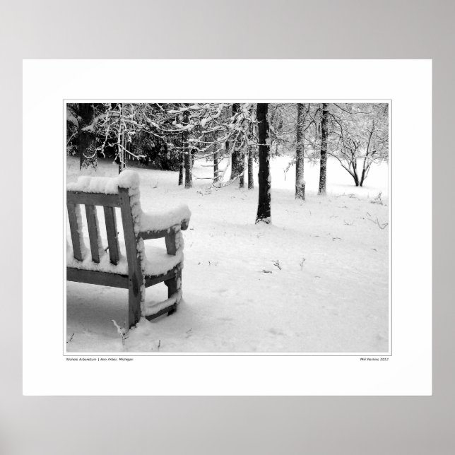 Póster Nichols Arboretum #3 (Frente)
