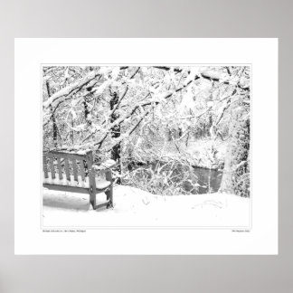 Póster Nichols Arboretum #4