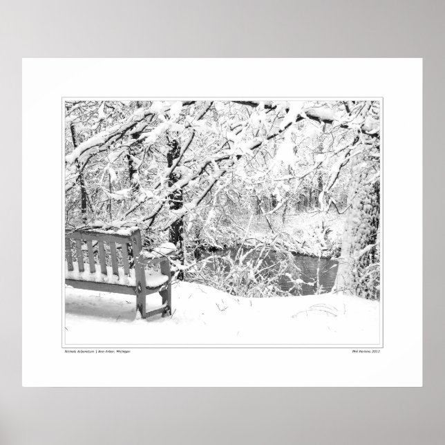 Póster Nichols Arboretum #4 (Frente)