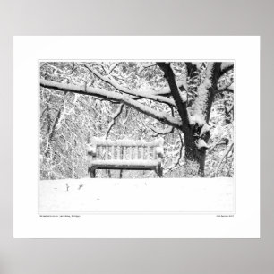 Póster Nichols Arboretum #5