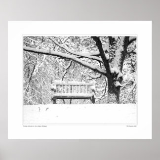 Póster Nichols Arboretum #5