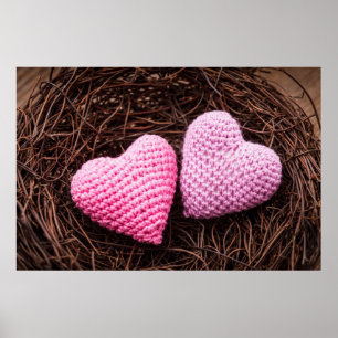 Póster Nido con corazón