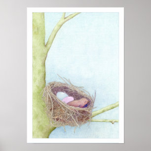Póster Nido de Aves